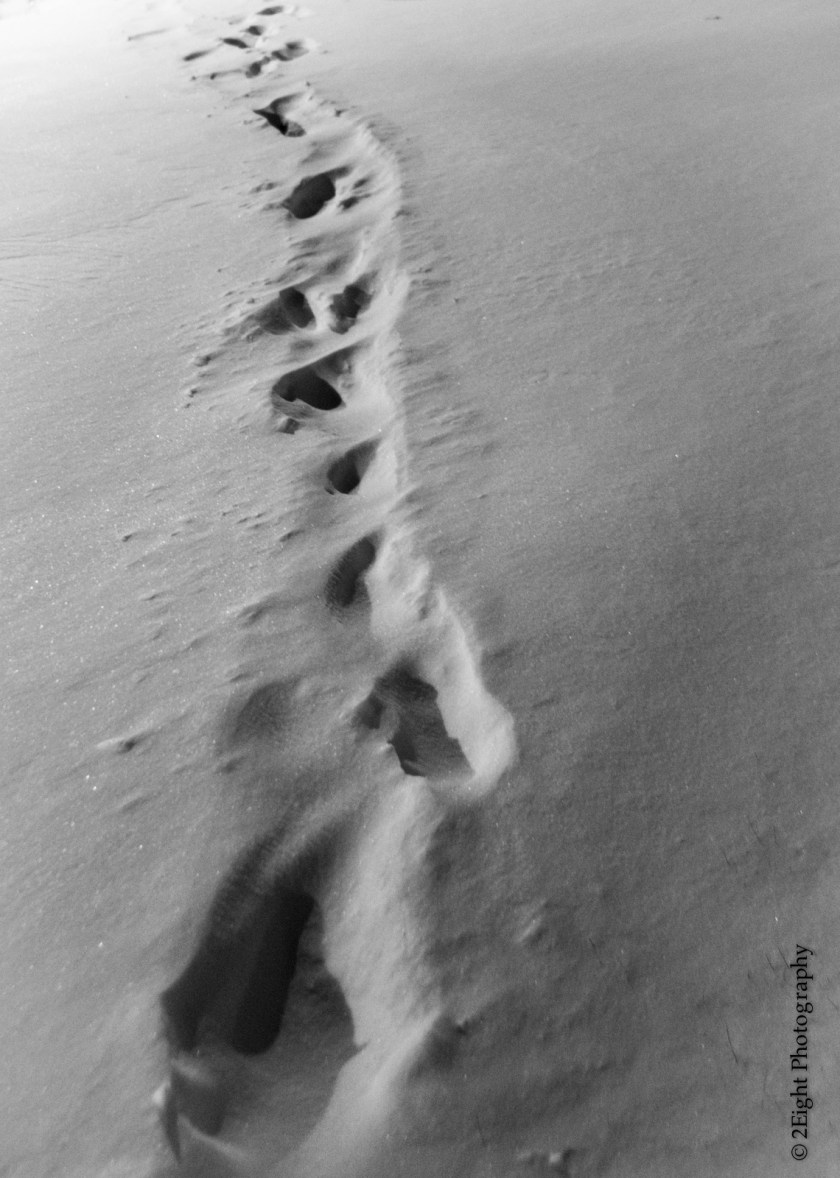 Foot Prints