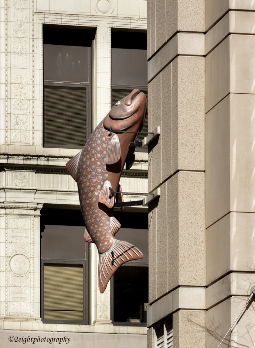 Fish on a Building