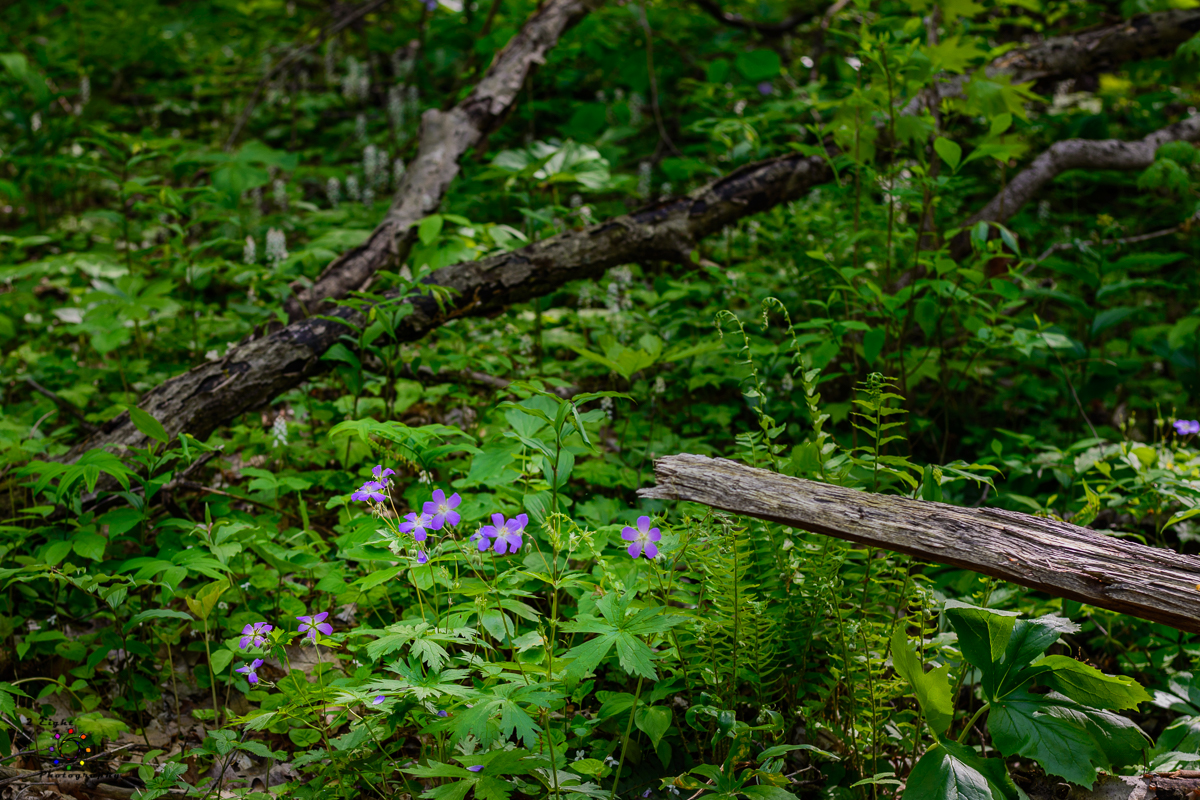 A Short Outdoor&nbsp;Adventure